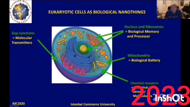 The GLOBAL Bioconvergence Revolution That's Happening But Nobody Told YOU About! (Video)