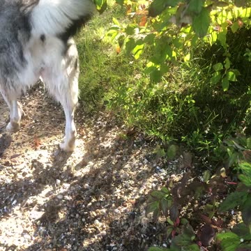 Wednesday October 1, Trust in the Lord with all your heart.