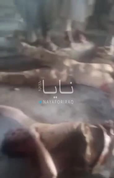 Warning: Graphic footage