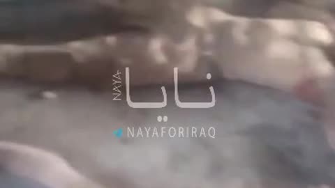 Warning: Graphic footage