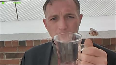 pt2 Winterliebe 🔔🎀 Glühwein ❄☕🍷🎄Wine Tasting ☃ SE