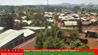 Oduu Waaree ONM-ABO Sadaasa 19-2025 itti dhiyaadhaa!