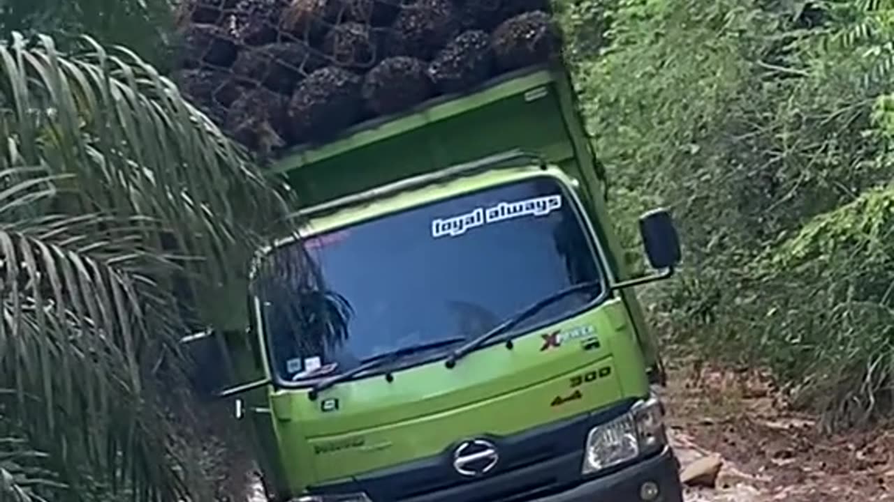 The truck loaded with palm oil tilted and almost rolled over