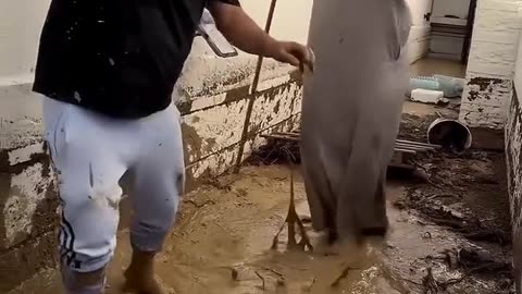 Funny Videos Make You Laugh #funny #laughing #humor
