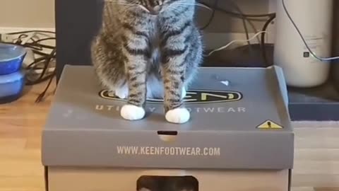 😂😂😂