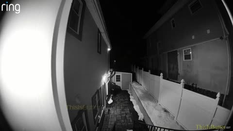 Waterbury detective justified in returning fire after being shot by carjacking suspect