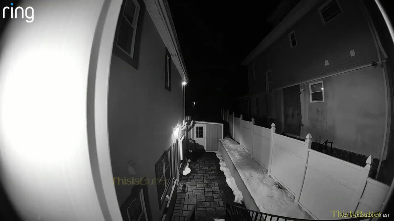 Waterbury detective justified in returning fire after being shot by carjacking suspect