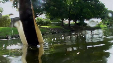 Hooking An AGGRESSIVE Snakehead! | SNAKEHEAD | River Monsters
