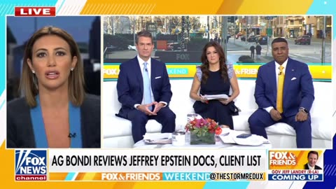 Alina Habba on Upcoming Epstein Island Documents Release