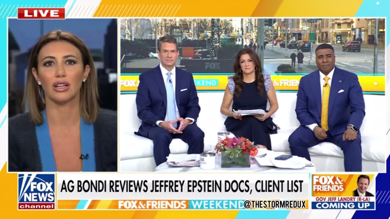 Alina Habba on Upcoming Epstein Island Documents Release