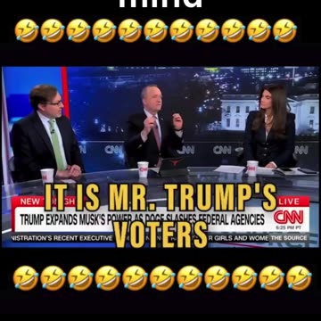 Everybody on CNN has lost their mind