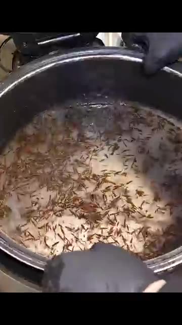 Best Spicy Fish Stew in Jeju?! 800 Big Fish Sold Daily with Seaweed Rice! 🐟🌶️ #shorts