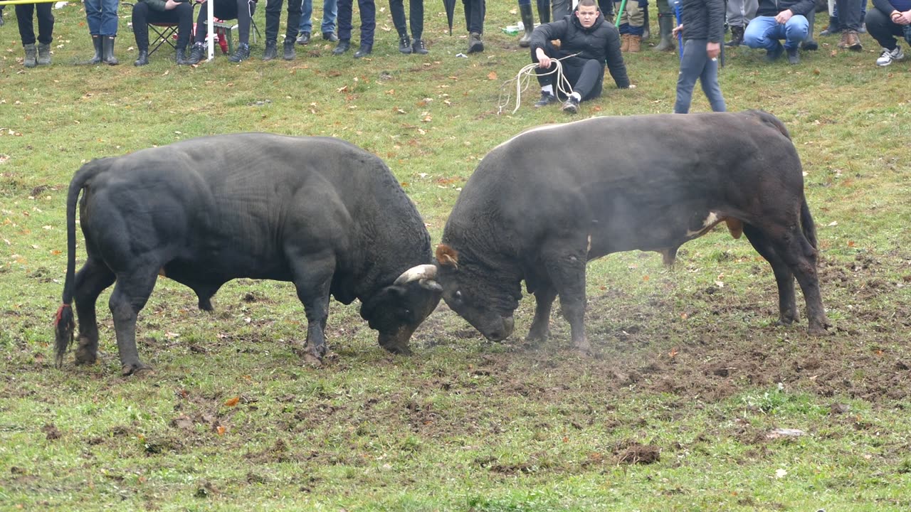 Kroki od Redžića vs Brizan od Ohrana Dar Mar 2025