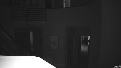 Bear Chose Wrong House