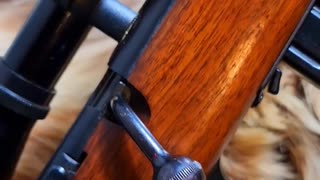 Classic Marlin Model 782 Bolt-Action Rifle