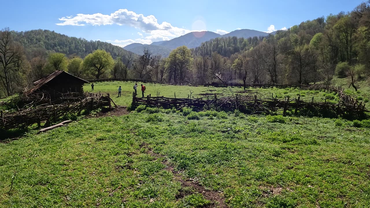 The Hyrcanian forests
