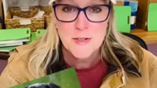 Another Bad Week For Fani Willis