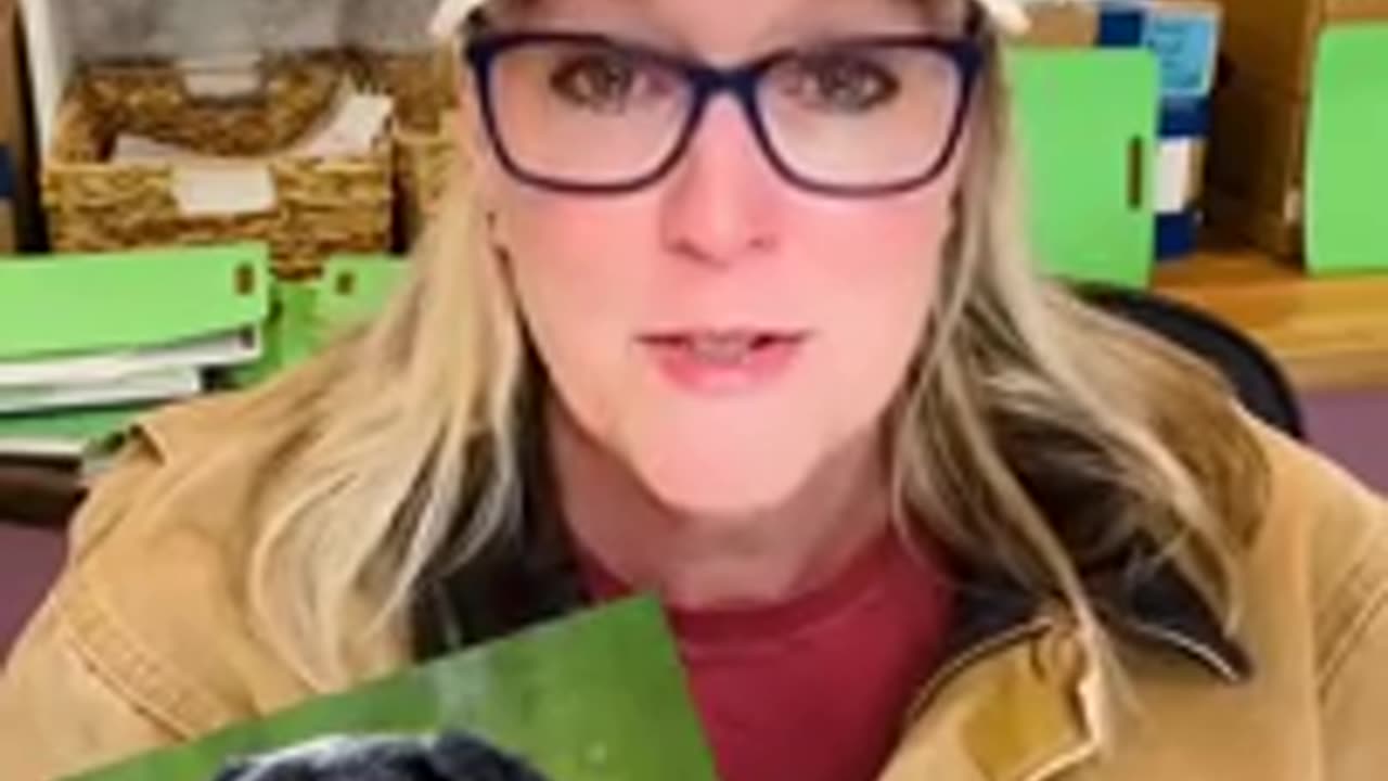 Another Bad Week For Fani Willis