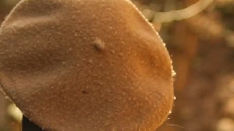 Runway For A Cause TLC - Passion For Fashion