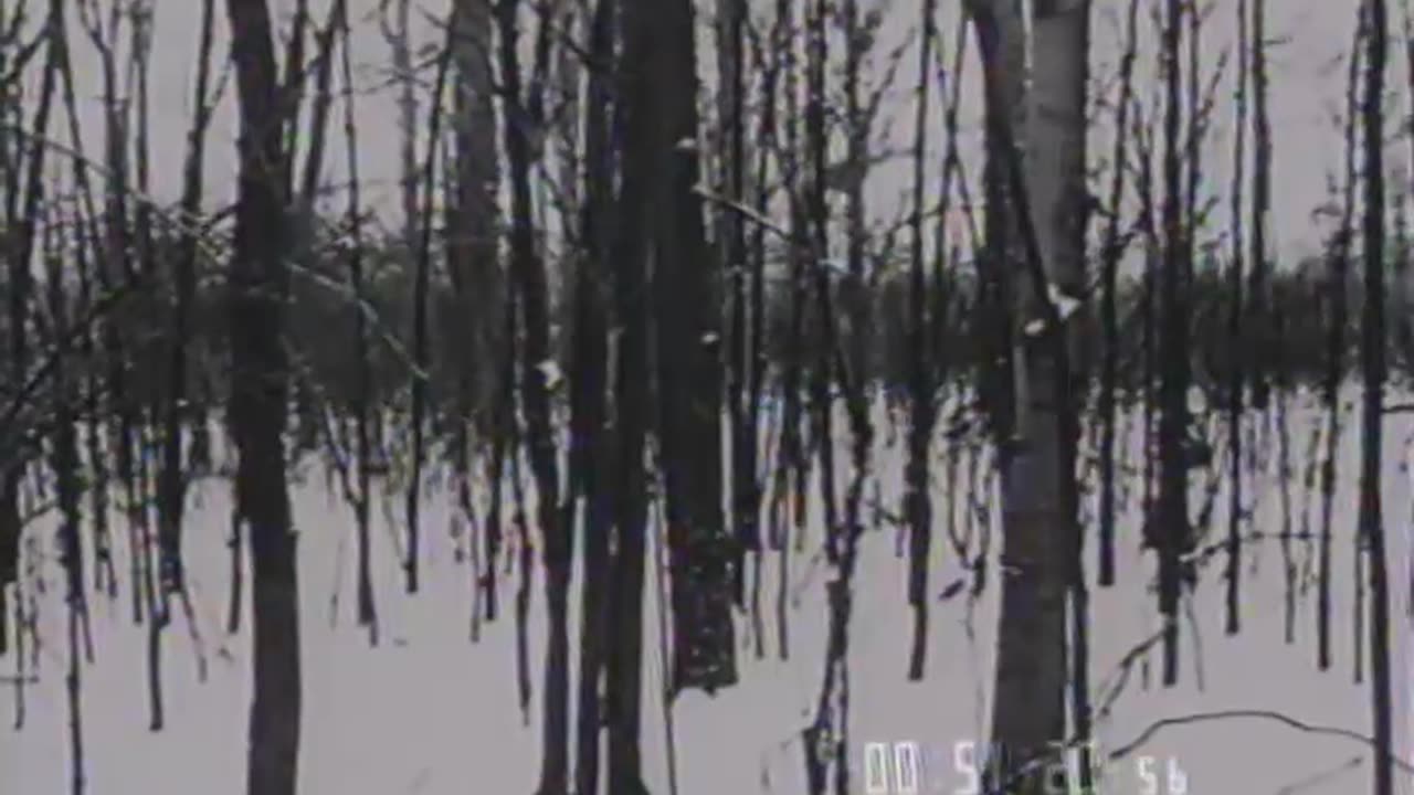 MERRY CHRISTMAS TO ALL.A - MERRY CHRISTMAS TO ALL.A - fc-fc-477