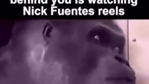 When The Guy Behind You Is Watching Nick Fuentes/America First reels...