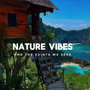 Beautiful nature - nature vibes - cinematic