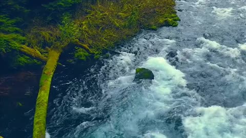 Natural environment beautiful waterfall video 2025 skc.com 42