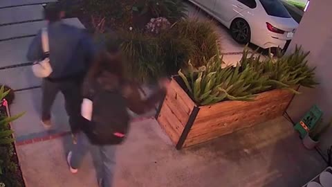 😮✨ Heartwarming Goodbye: Owner and Cat Share a Special Wave! | FeedMyCuriosity