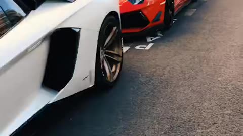 😎💎 Choose Your Dream Luxury Car NOW! | LuxurySportsCars