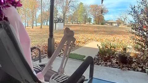 Package Thief Caught Red-Pawed