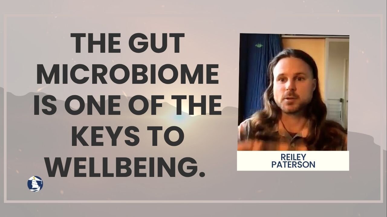 The gut microbiome is one of the keys to wellbeing.