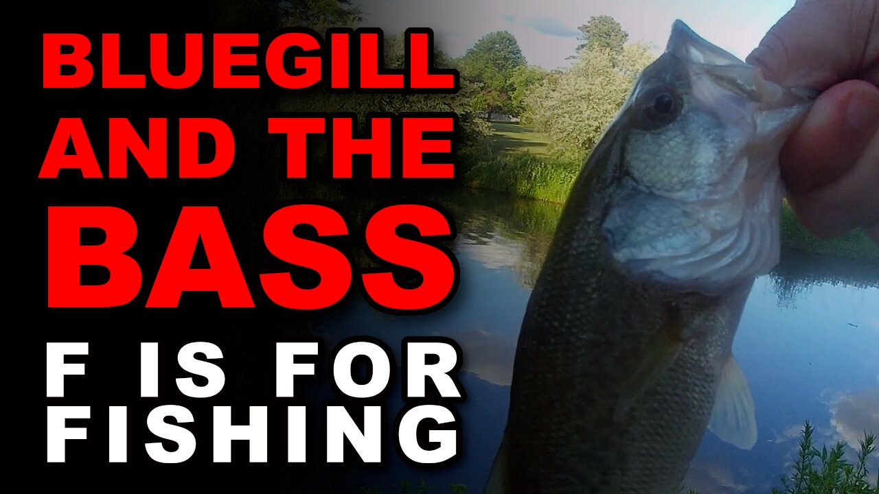 The Bluegill and the Bass