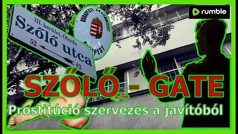 A Szőlő-gate: tények hálózatról, fiatalkorú prostituáltakról és egy javítóintézet igazgatóról