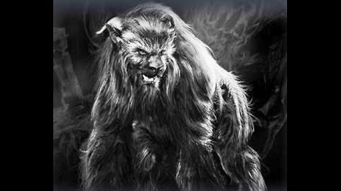 The Werewolf Crossing and Cat Canine Cryptid