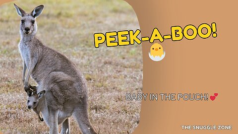 MAMA KANGAROO LOVE 💕🦘 | Baby Joey Peeks Out from Pouch