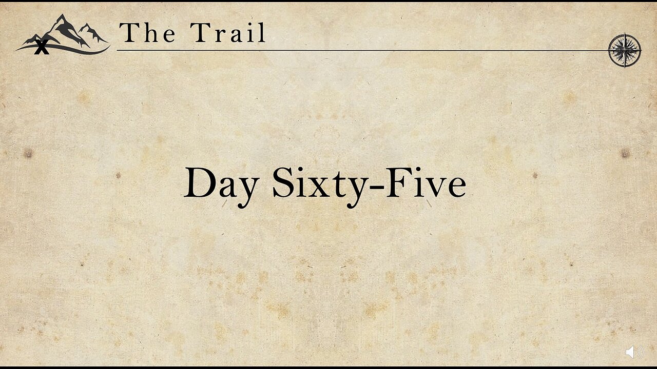 Day 65