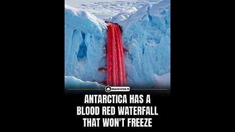 And now we know why.