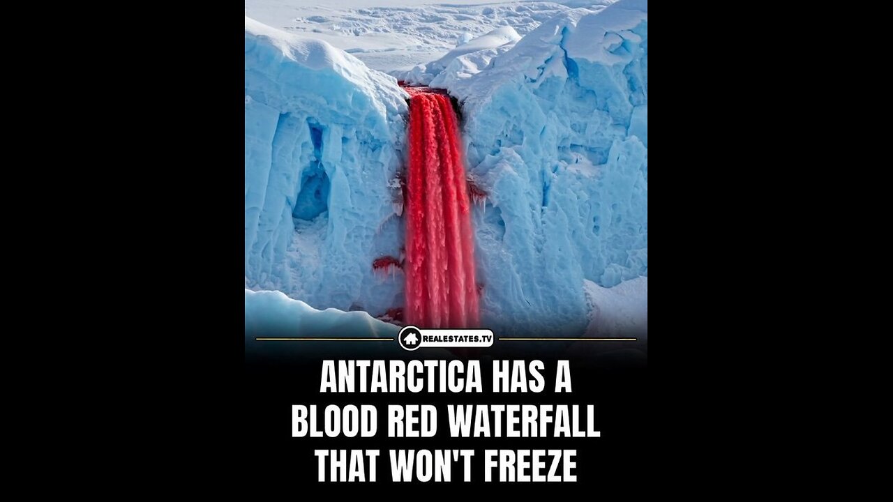 And now we know why.