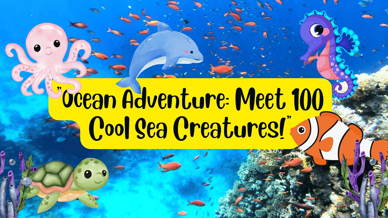 Explore 100 Sea Animals for Kids | Real Footage & Fun Learning with Wriggle Giggle #learnseaanimals