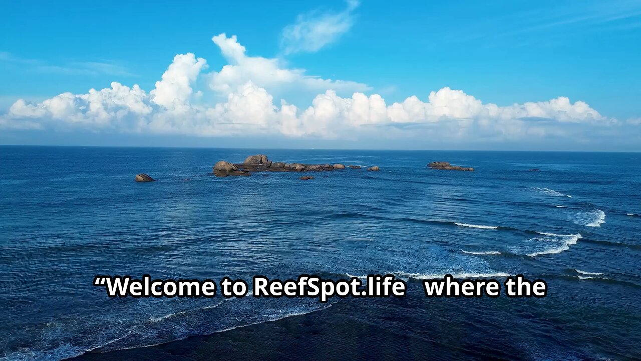 Reefspot.life