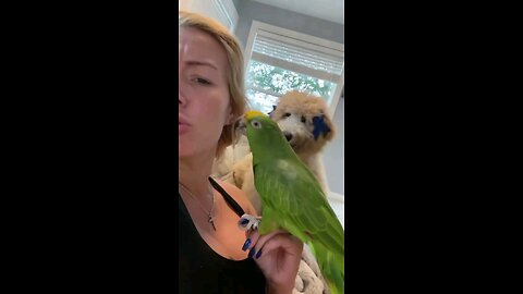 Dog V/S Parrot