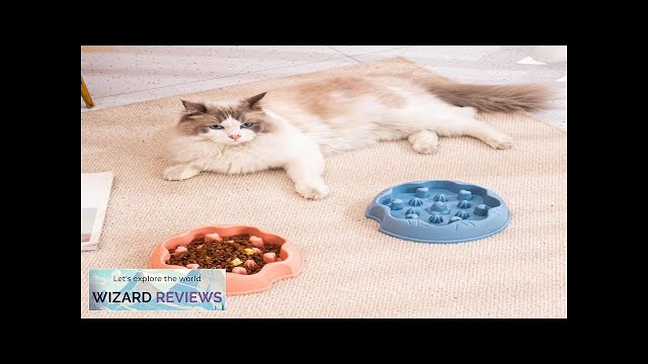 Slow Feeder Dog Bowls Dish Puppy Food Water Bowl For Dog Cat Review