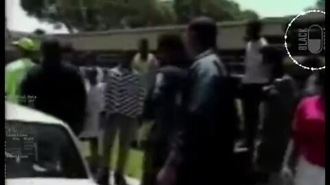 Diversity Riot · Black Teens Doing A Pay Back On Cinco De Mayo