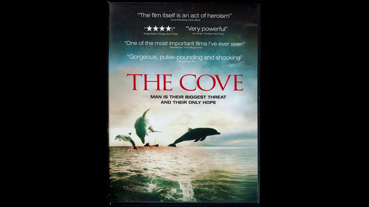 The Cove
