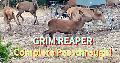 Great Morning Hunt Success!