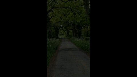 🔥 Surah Ash-Shūrā 42:27 سورة الشورى ⚡💰🌙 #Quran #shorts #viral #love #youtubeshorts #trending