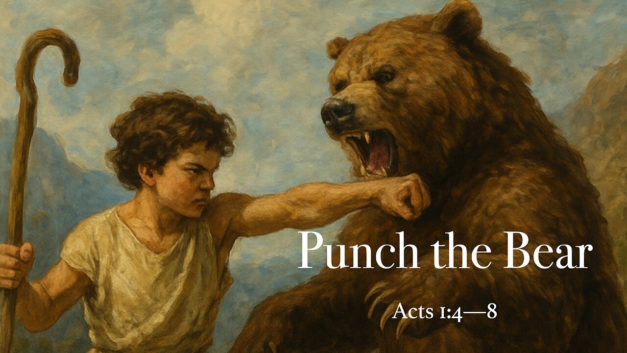 Punch The Bear - Sunday Service - 12/7/2025