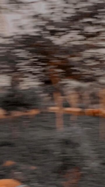 alo pageli galu badali bhuli puruna din