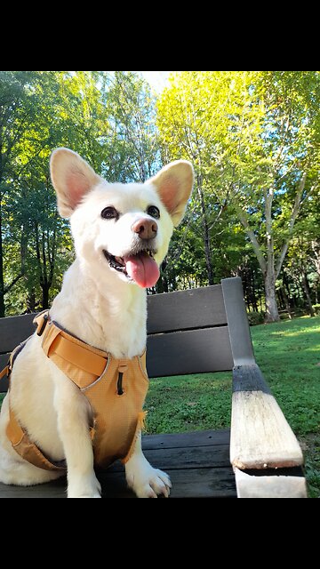 20251008. Jesus Christ.