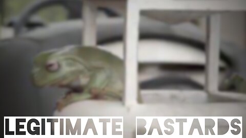 Frodrick & Toadd. Welcome to our Crib.